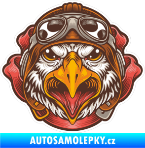 Samolepka Barevný orel 019 pilot