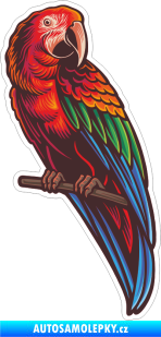 Samolepka Barevný papoušek 002 pravá