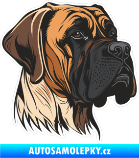 Samolepka Barevný pes 021 pravá boxer