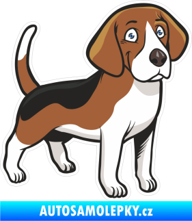 Samolepka Barevný pes 041 pravá Bígl