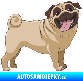 Samolepka Barevný pes 048 pravá mops