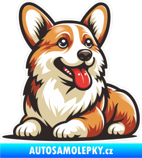 Samolepka Barevný pes 055 pravá Welsh Corgi Pembroke