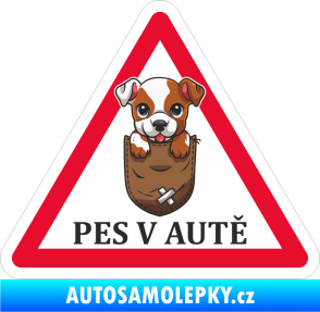 Samolepka Barevný pes v autě 001