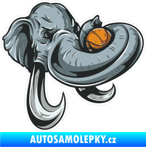 Samolepka Barevný slon 002 pravá basketbal