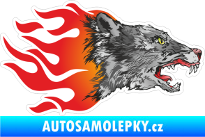 Samolepka Barevný vlk 005 pravá v plamenech