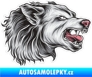 Samolepka Barevný vlk 020 pravá bílý rozzuřený