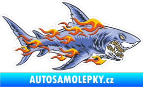 Samolepka Barevný žralok 014 pravá v plamenech