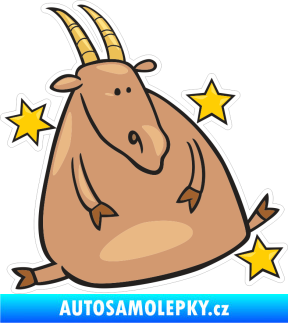 Samolepka Barevný zvěrokruh kozoroh 002 levá