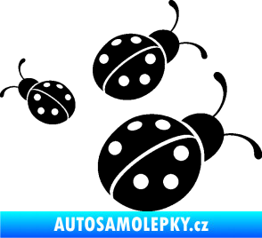 Samolepka Berušky 001 pravá černá