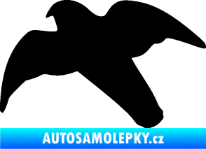 Samolepka Dravec na sklo 003 levá černá