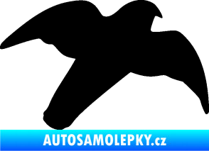 Samolepka Dravec na sklo 003 pravá černá