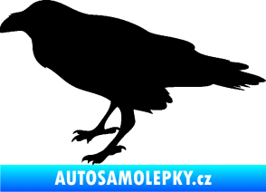 Samolepka Havran 001 levá černá