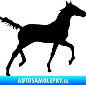 Samolepka Kůň 011 pravá černá