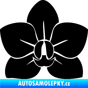 Samolepka Květina dekor 023 orchidej květ černá