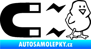 Samolepka Magnet na ptáky pravá černá