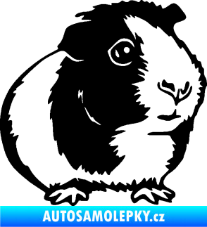 Samolepka Morče 003 pravá černá