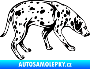 Samolepka Pes 001 pravá Dalmatin černá