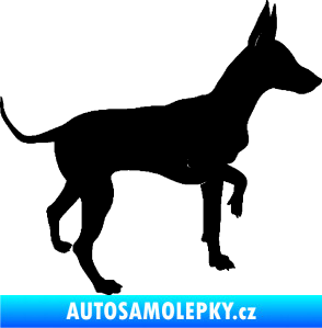 Samolepka Pes 093 pravá Pražský krysařík černá