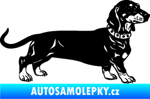 Samolepka Pes 122 pravá jezevčík černá
