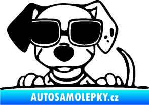 Samolepka Pes s brýlemi 101 levá v autě černá