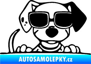 Samolepka Pes s brýlemi 101 pravá v autě černá