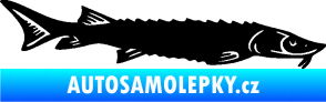 Samolepka Ryba 020 pravá jeseter černá