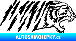 Samolepka Tygr 004 pravá černá