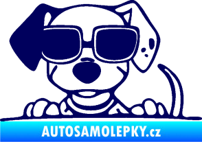 Samolepka Pes s brýlemi 101 levá v autě tmavě modrá