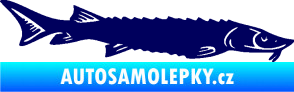 Samolepka Ryba 020 pravá jeseter tmavě modrá