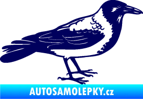 Samolepka Vrána 001 pravá tmavě modrá