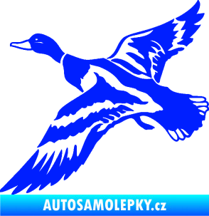 Samolepka Kachna divoká 001 levá kačer modrá dynamic
