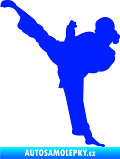 Samolepka Karate 012 levá modrá dynamic