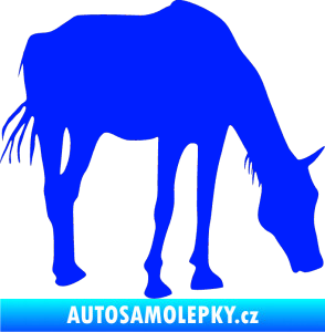 Samolepka Kůň 008 pravá modrá dynamic