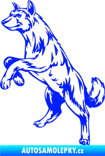 Samolepka Pes 025 levá modrá dynamic