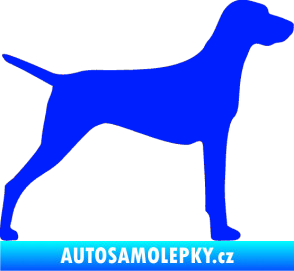 Samolepka Pes 052 pravá Ohař modrá dynamic