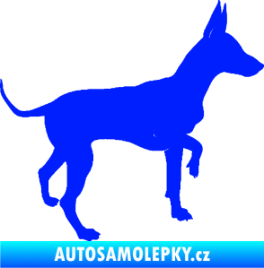 Samolepka Pes 093 pravá Pražský krysařík modrá dynamic