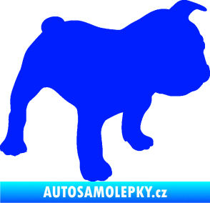 Samolepka Pes 108 pravá Francouzský buldoček modrá dynamic