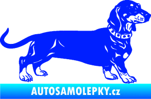 Samolepka Pes 122 pravá jezevčík modrá dynamic