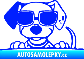 Samolepka Pes s brýlemi 101 levá v autě modrá dynamic