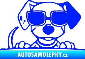 Samolepka Pes s brýlemi 101 pravá v autě modrá dynamic