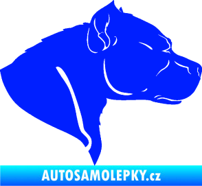 Samolepka Pitbull 004 pravá modrá dynamic