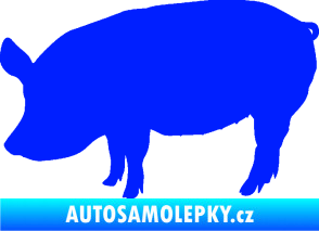 Samolepka Prase 001 levá modrá dynamic