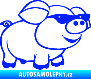 Samolepka Prase 006 pravá frajer v brýlích modrá dynamic