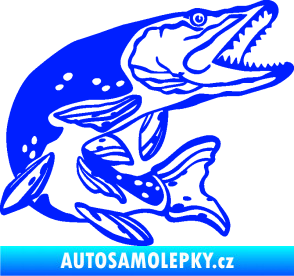 Samolepka Štika 002 pravá modrá dynamic