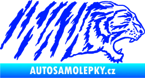 Samolepka Tygr 004 pravá modrá dynamic