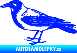 Samolepka Vrána 001 levá modrá dynamic