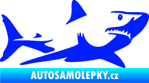 Samolepka Žralok 015 pravá modrá dynamic