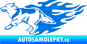 Samolepka Animal flames 090 levá vlk modrá oceán