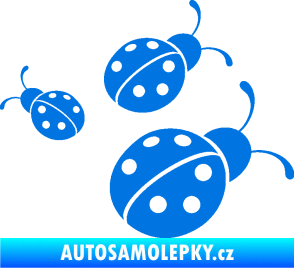 Samolepka Berušky 001 pravá modrá oceán