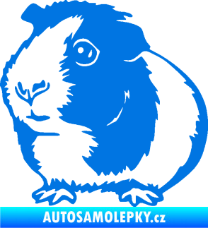 Samolepka Morče 003 levá modrá oceán